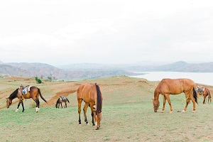 Hebergement Fanirina Ranch 2